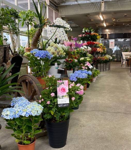 「清花園」　（三重県桑名市）の花屋店舗写真2